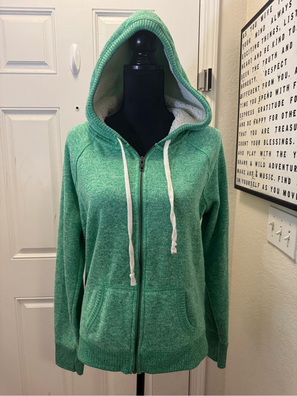 American Eagle Outfitters Mint Green Sherpa-Lined Zip Hoodie
